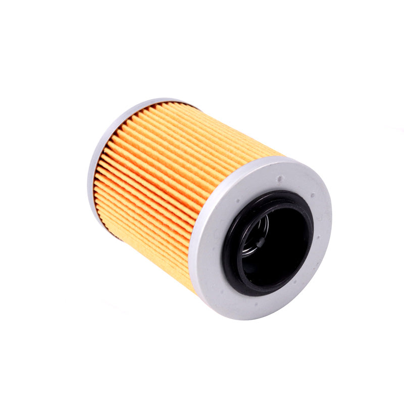 420956123 OIL FILTER