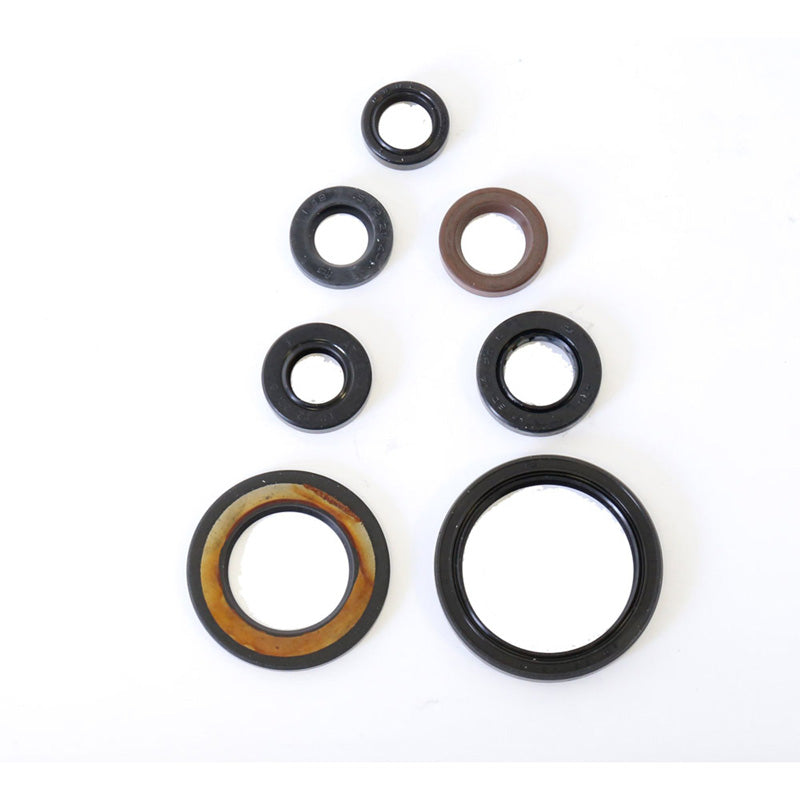 ENGINE OIL SEALS KIT RAPTOR 700