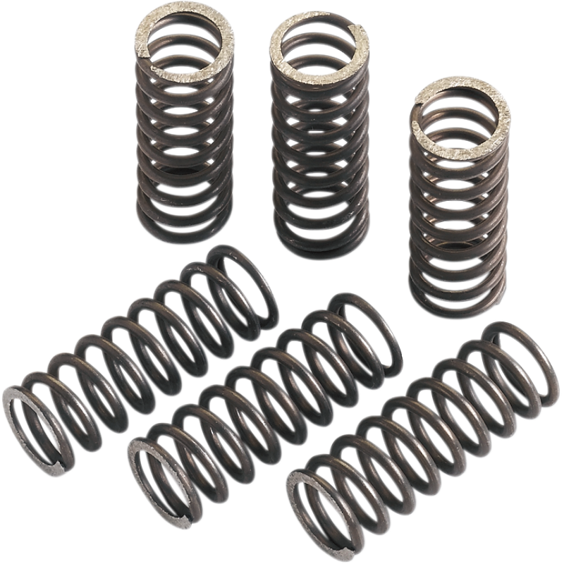 HDS118-6 MOOSE CLUTCH SPRING SET (6 PCS)