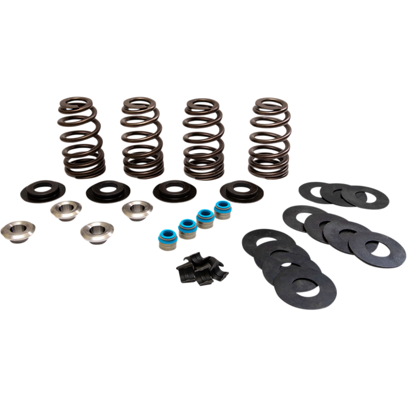 VALVE SPRINGS ECONO TC