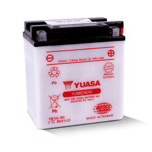 YB10L-B2     YUASA TW