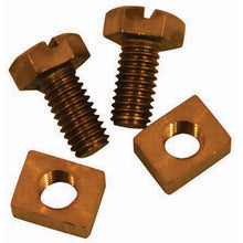 BATTERY BRASS NUT  SCREW 4PCS.