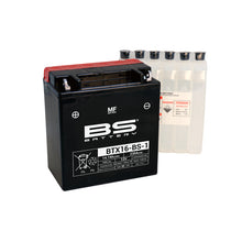 BS MF - BTX16-BS-1