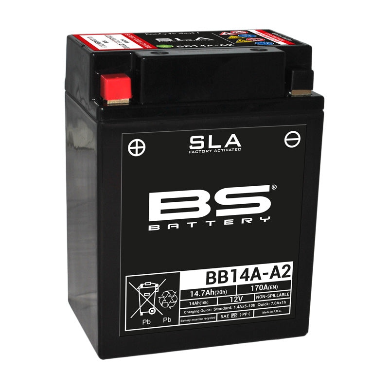BS DRY - BB14A-A2  (WITH ACID PACK)