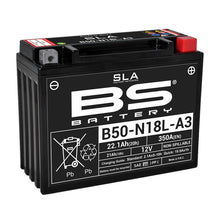 BS DRY - B50-N18L-A3 (WITH ACID PACK)