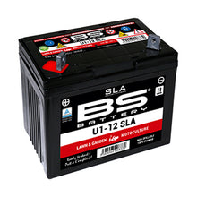 BS DRY -U1-12 (WITH ACID PACK)
