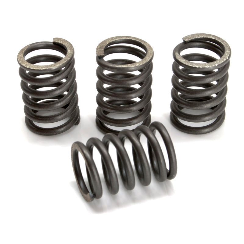 CSK SPRING KITS