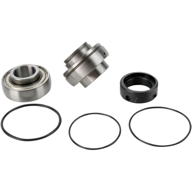 CHAIN CASE BEARING & SEAL KIT