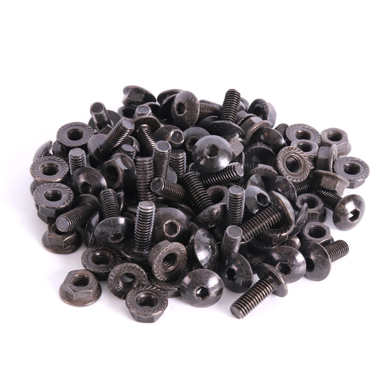 AUTO/MOTORCYCLE  STEEL LICENSE BOLTS AND NUTS SET