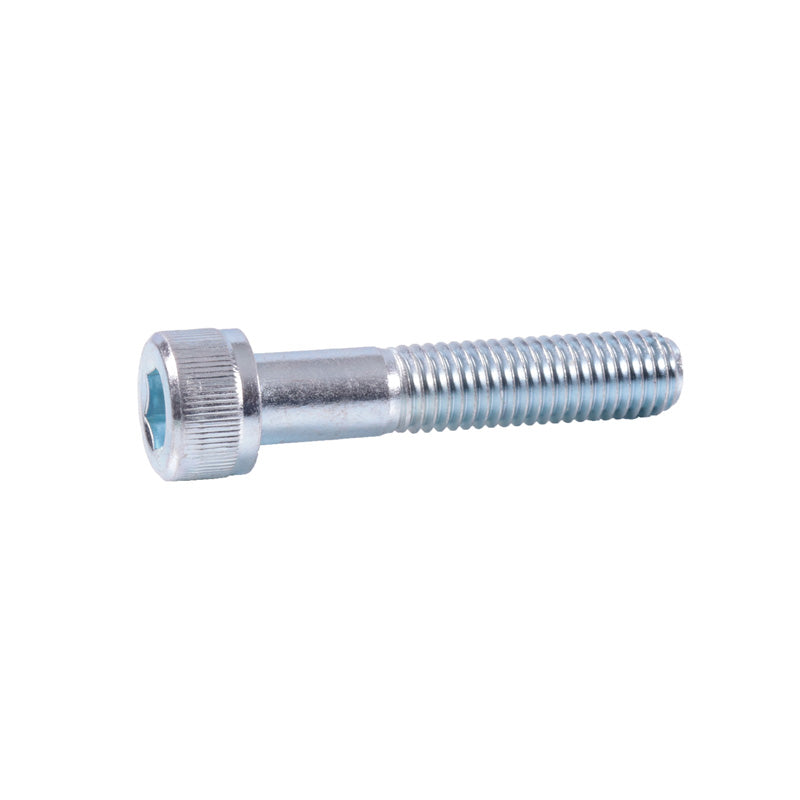 ALLEN SCREW 10X50MM (25 PCS),(1.5)