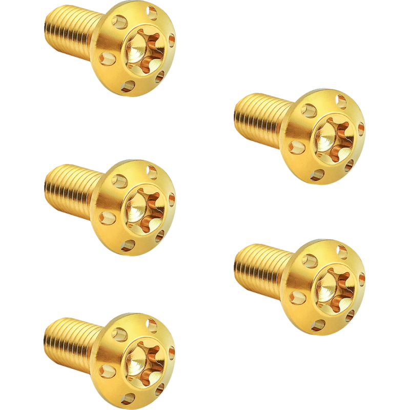 BOLT KIT ROTOR FRONT HOLESHOT  5 PACK HUB MOUNT,GO
