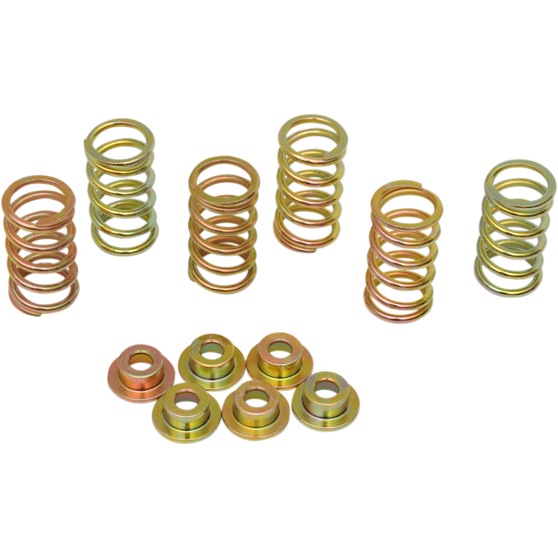 HD CLUTCH SPRING KIT