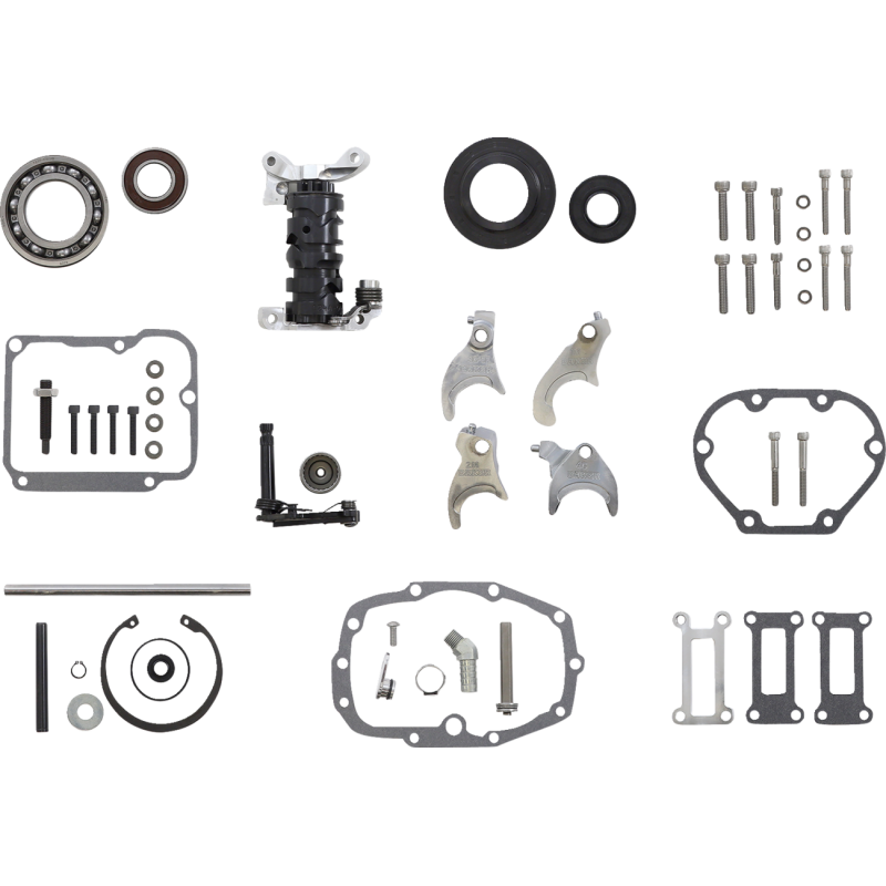 02-06 FL 6SP GEAR SET 2.94/.86 W/POLISHED DOOR