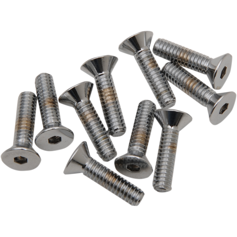 1/4"-20 X3/4" BOLT HEADS (10)