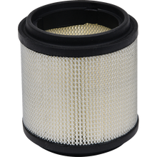 AIR FILTER POLARIS
