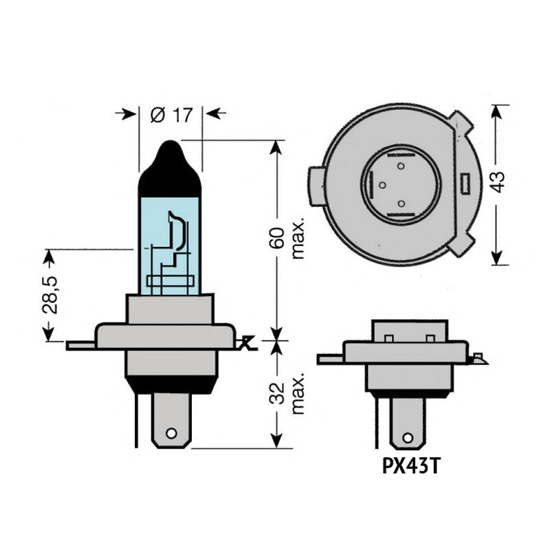 BULB HS1