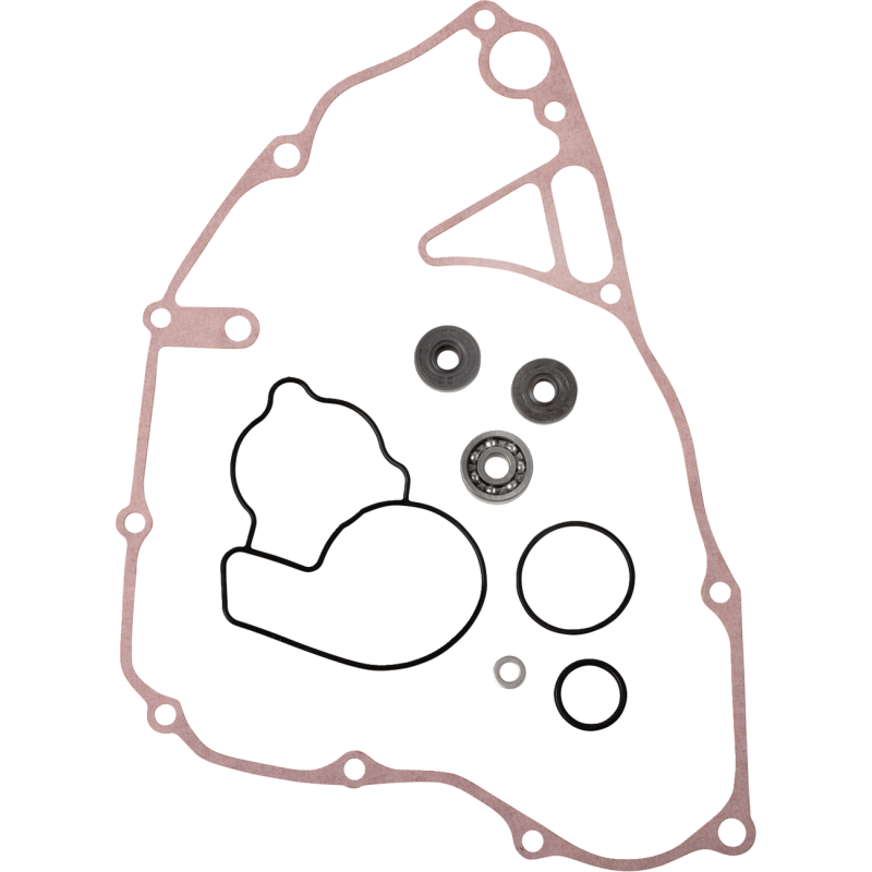 REPR KT WTRPMP KX250F 09
