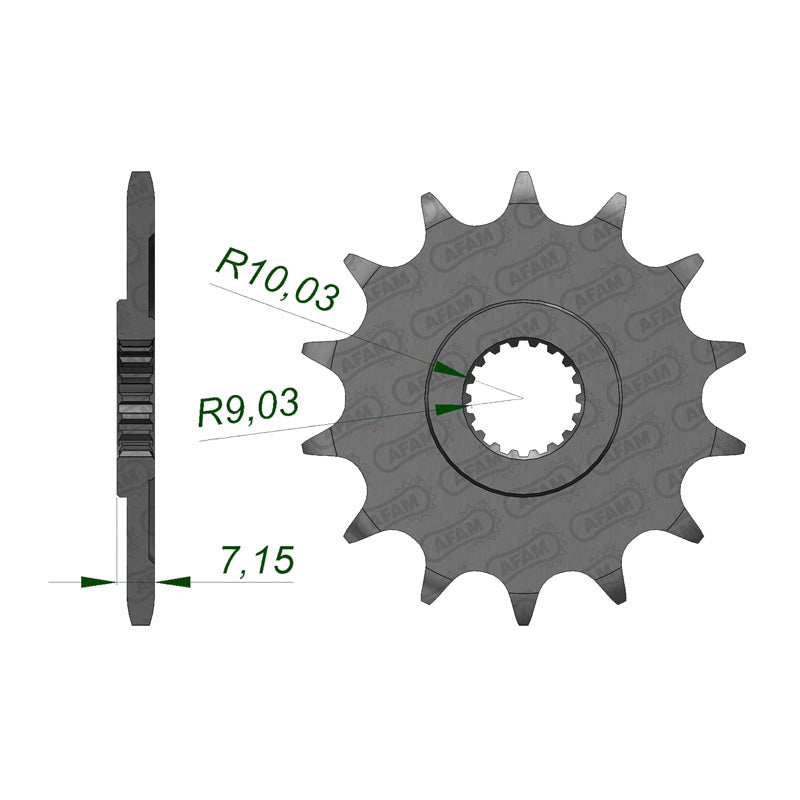 SPR.FR. RM125 80-07 13T (22203-13).
