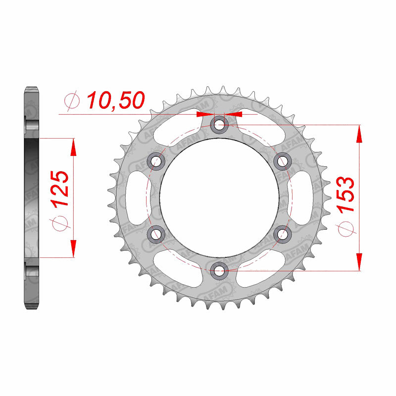 AFAM RR.48T 520 41201-KZ1-670.