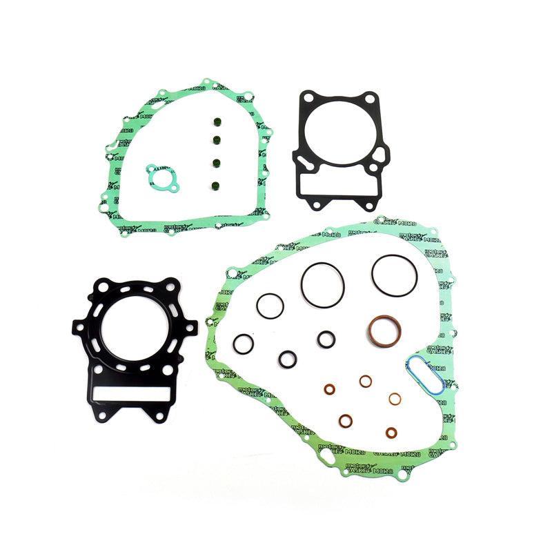 GAS.KIT LTA450X,XC 07-10 KING QUAD
