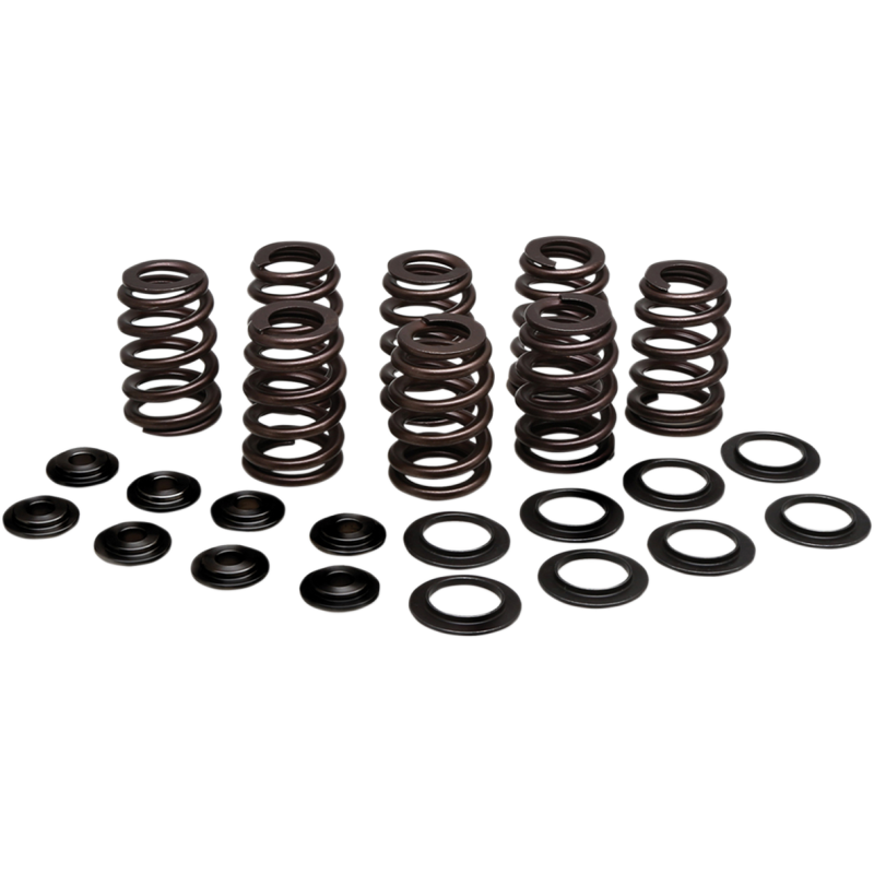 SPRING KIT BEEHIVE 17-19 M8 STEEL