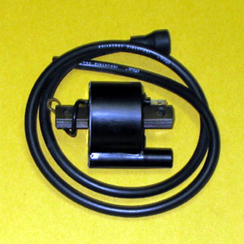 IGNITION COIL POL 250-300-350-400.