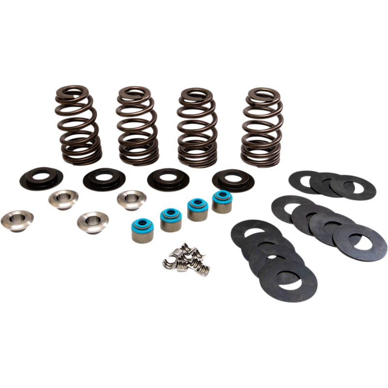 VALVE SPRINGS ECONO TC