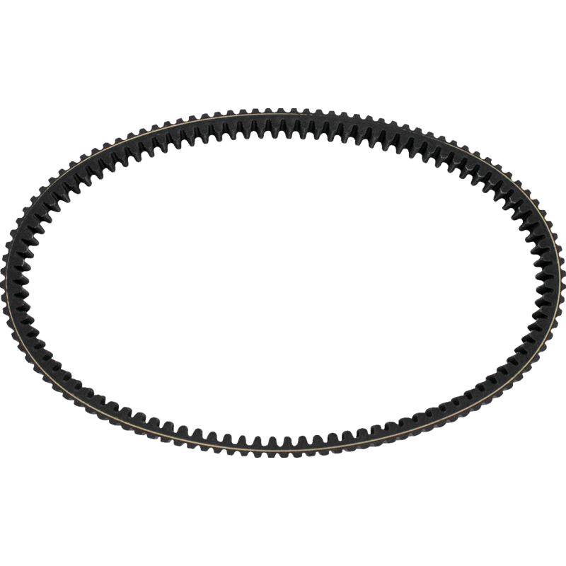 BELT, ALL TRAXION HD