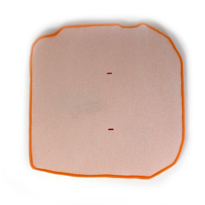 PERFORMANCE AIR FILTER