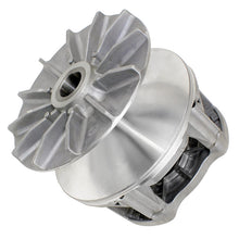 #REPLACE BY  18612005