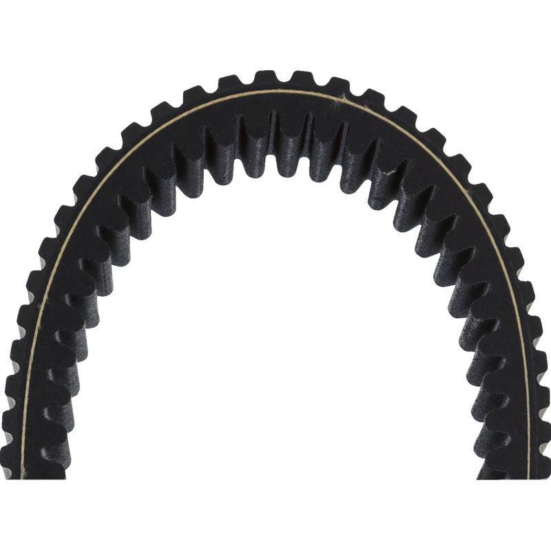 BELT, ALL TRAXION HD