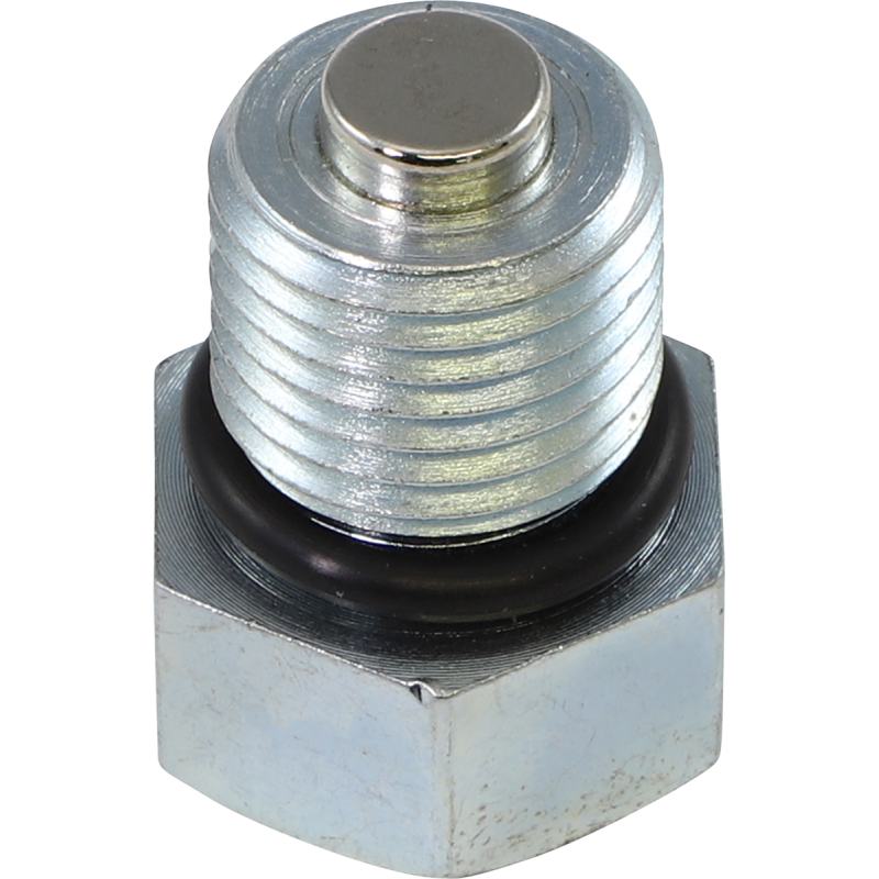 PLUG MOTOR OIL DRAIN MAGN
