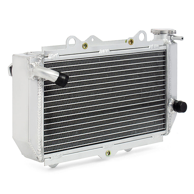 ATV RADIATOR YAMAHA