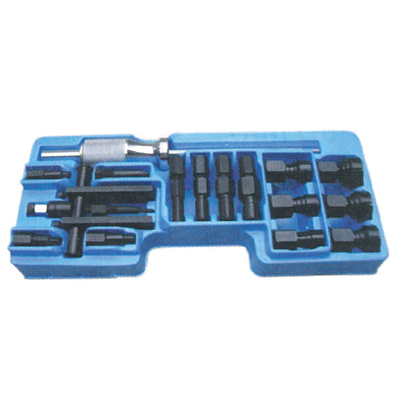 LARGE BUSHINGBLIND BEARING REMOVER KIT      CASE