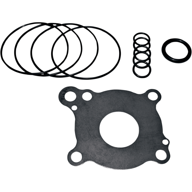 99-06 EXC DYNA OIL PUMP REBUILD KIT