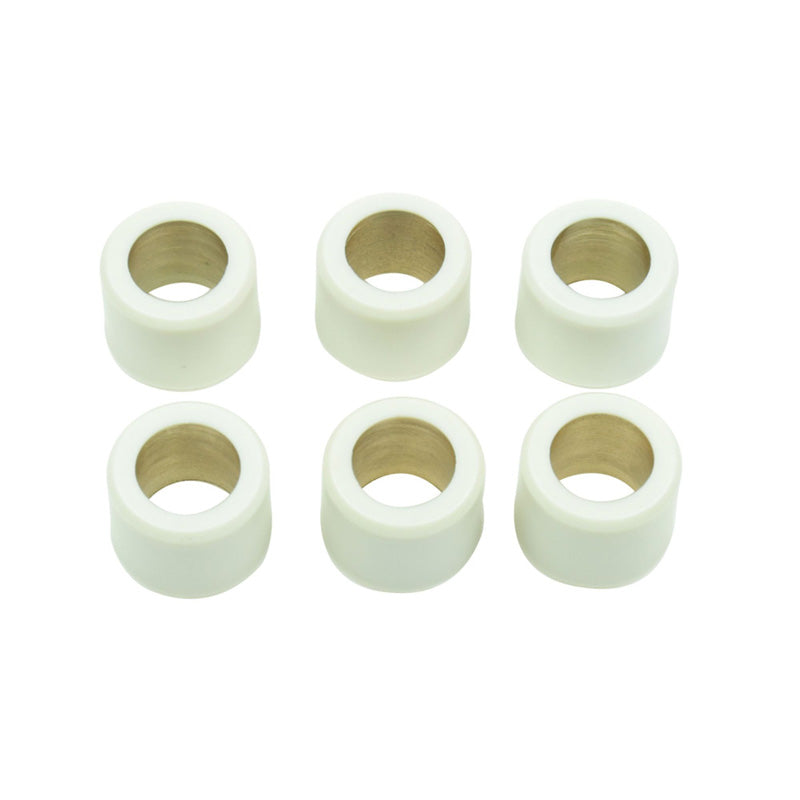 CLUTCH ROLLERS 16X13MM 9.0GR.