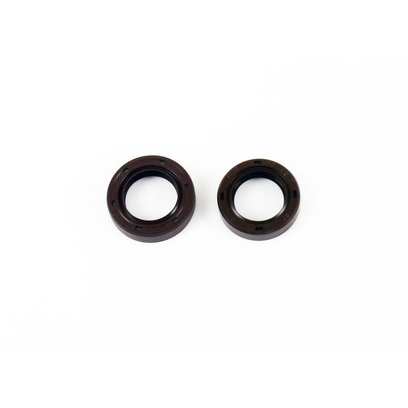 SEAL CRANK KIT VESPA ET2 04-05.