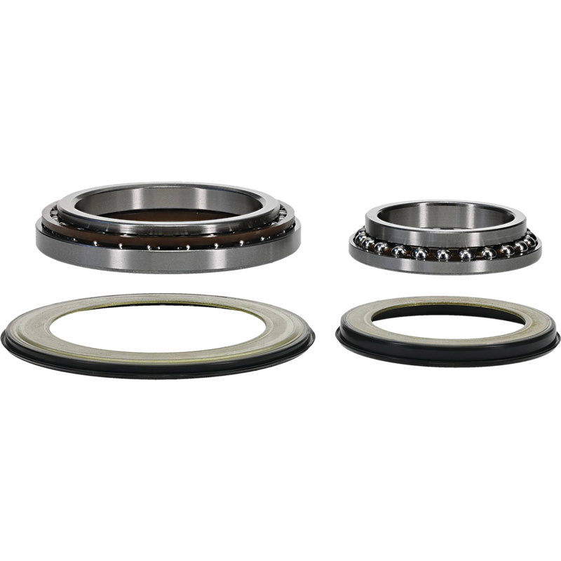 STEERING BEARING KIT GL1800B 18-19