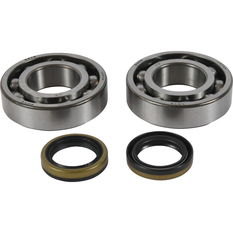 CRANKSHAFT BEARING KIT BETA EVO 2T 125-300 13-21