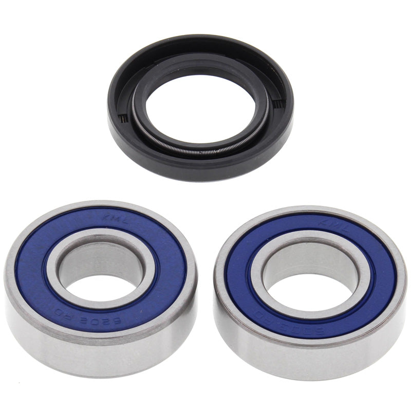 WHEEL BEARING/SEAL KIT TTR250