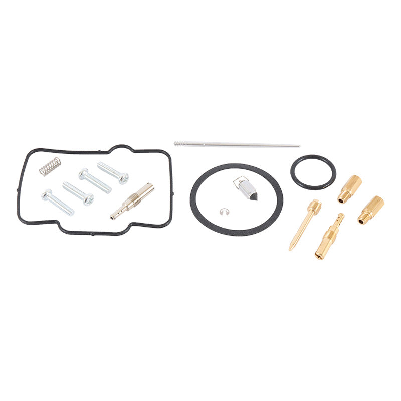CARBURETOR REPAIR KIT