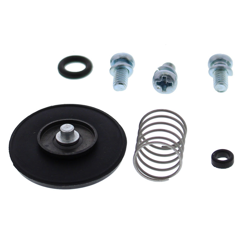 ACCELERATOR PUMP REBUILD KIT