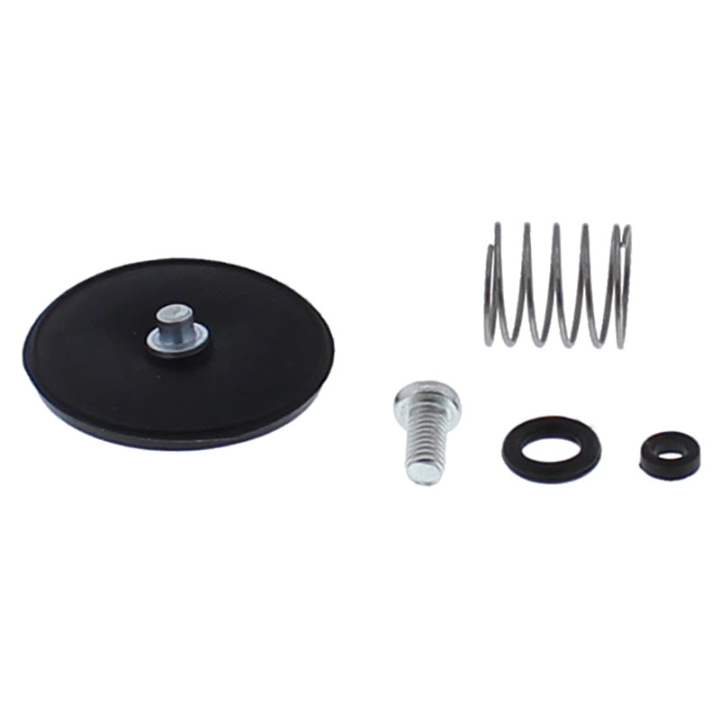 ACCELERATOR PUMP REBUILD KIT