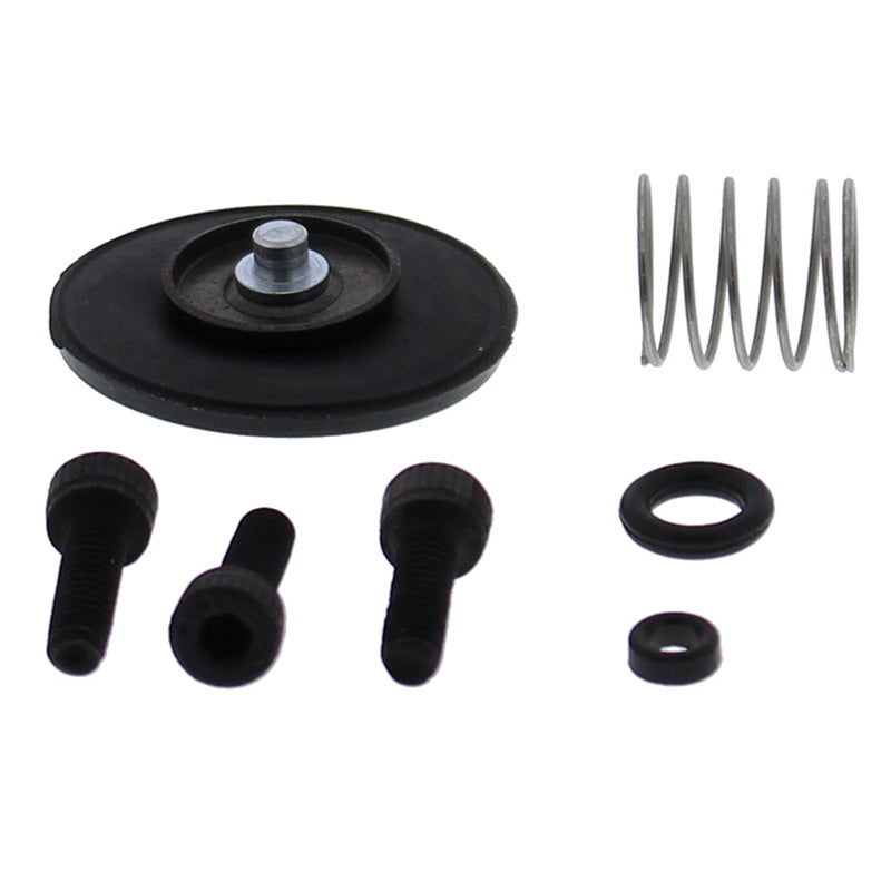 ACCELERATOR PUMP REBUILD KIT