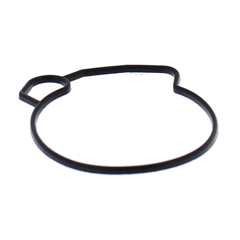 CARBURETOR FLOAT BOWL GASKET