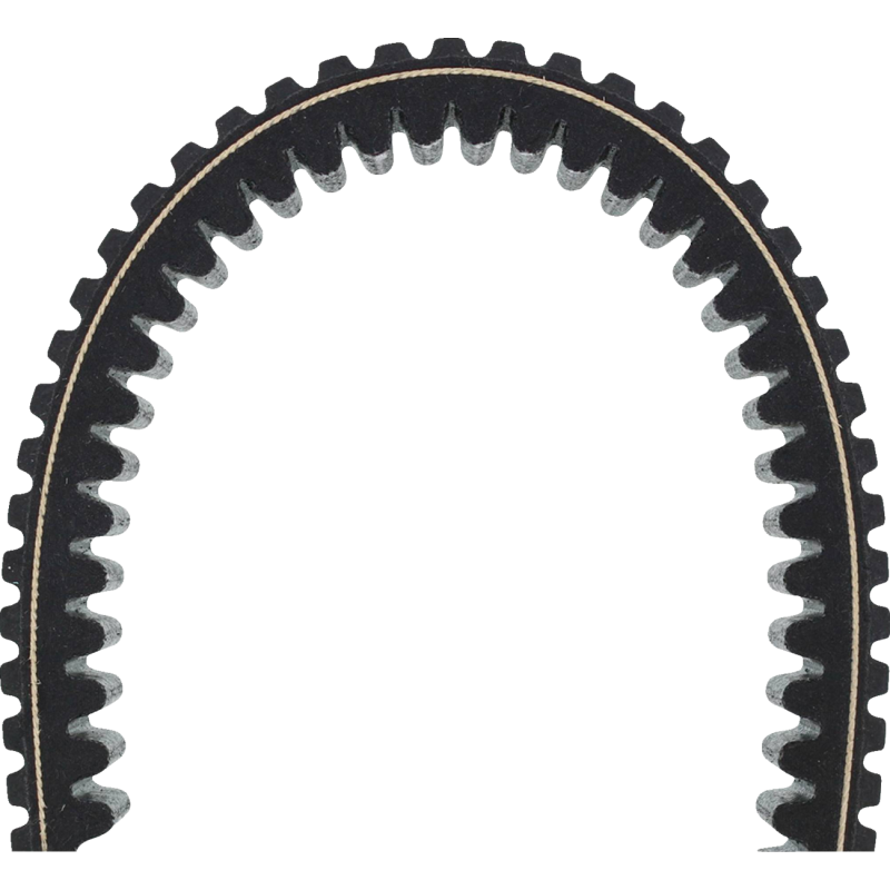 BELT, ALL TRAXION HD
