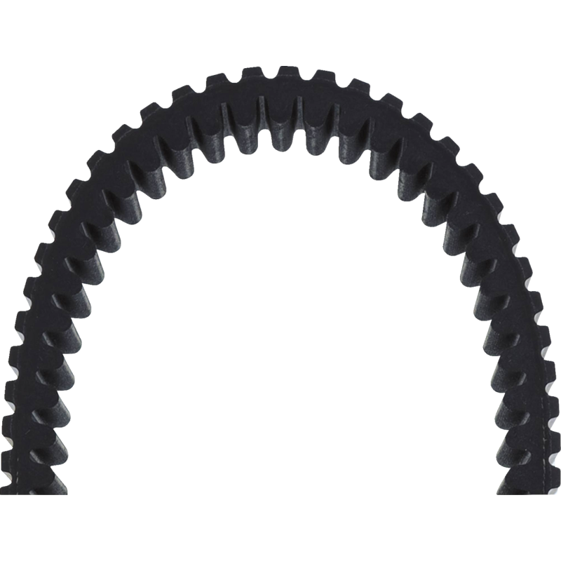 BELT, ALL TRAXION HD