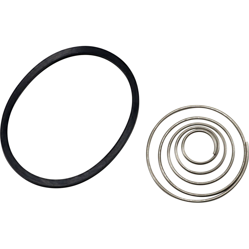 REPL. SPRING & OIL RING SET