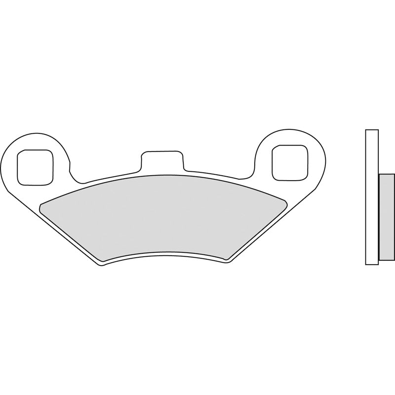 BRAKE PADS - SINTERGRIP SERIES - (FA159R) FRONT/REAR