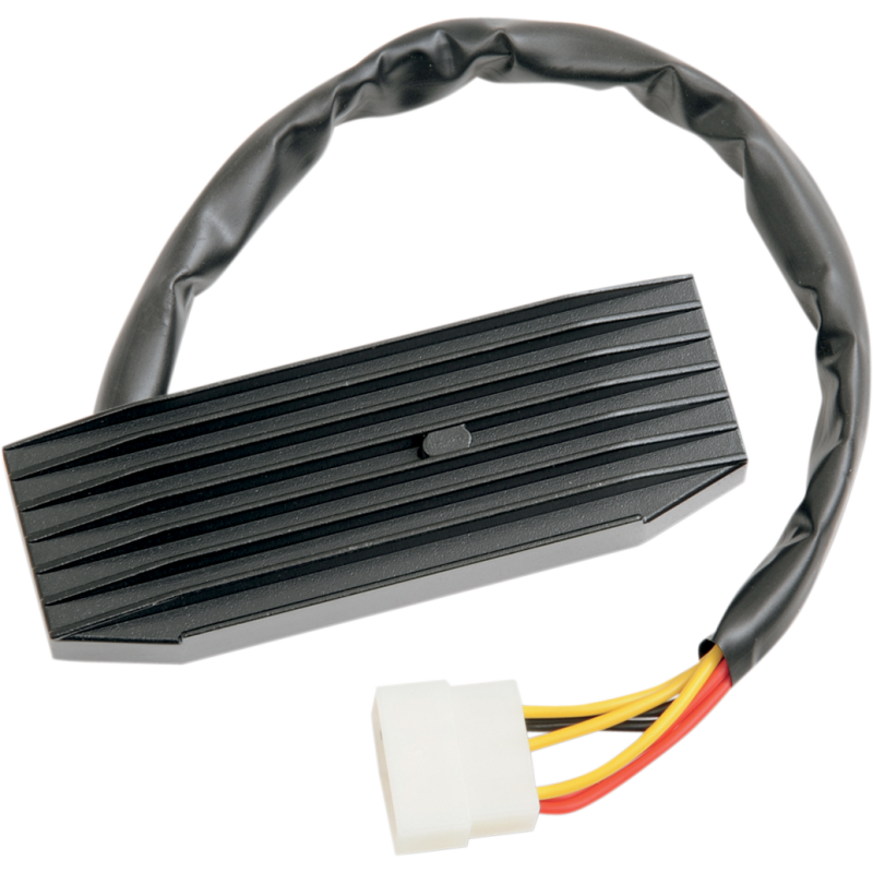 REG/REC SUZUKI 10-210